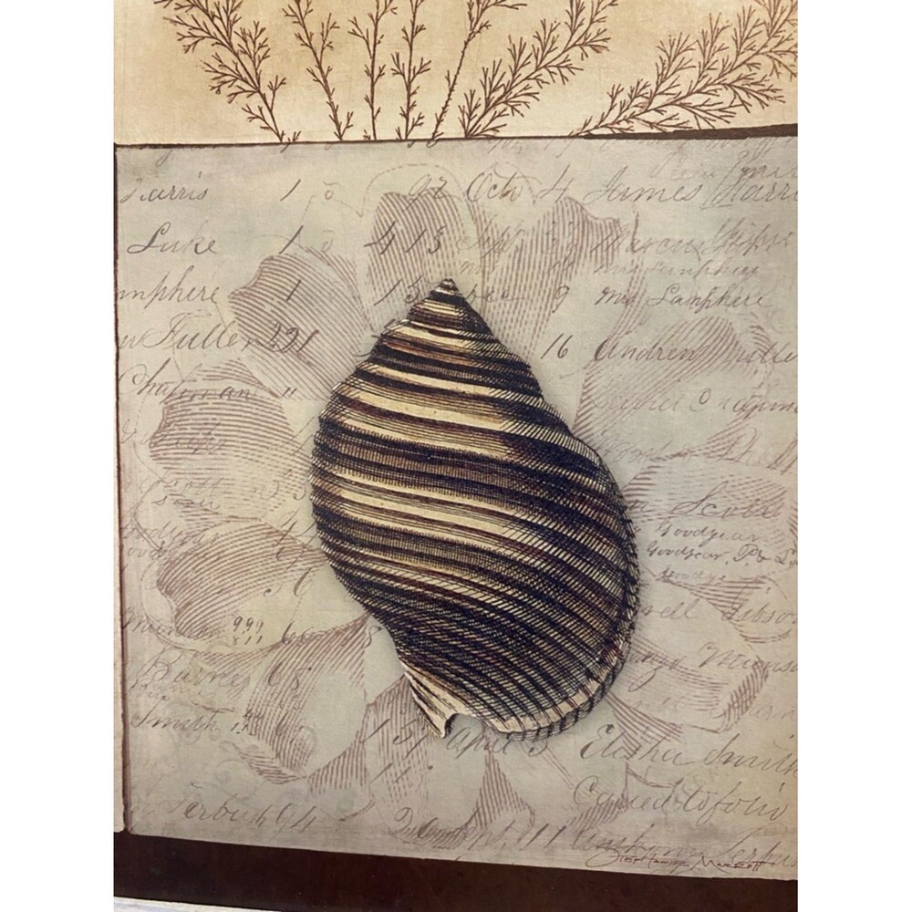 Stephanie Marrott Sea Shell Wall Art - with a Quote from Chopin - Picture 5 of 9